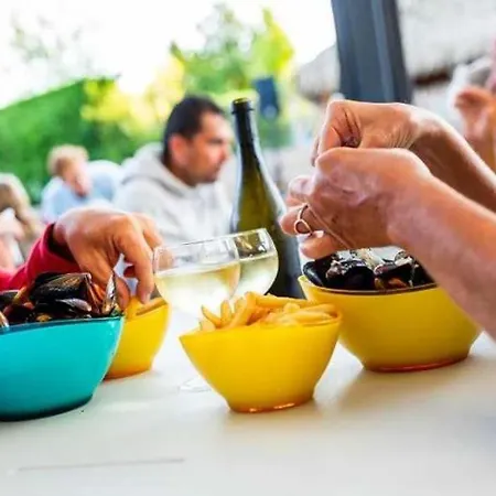 4 Etoiles - Piscine - Efceih *