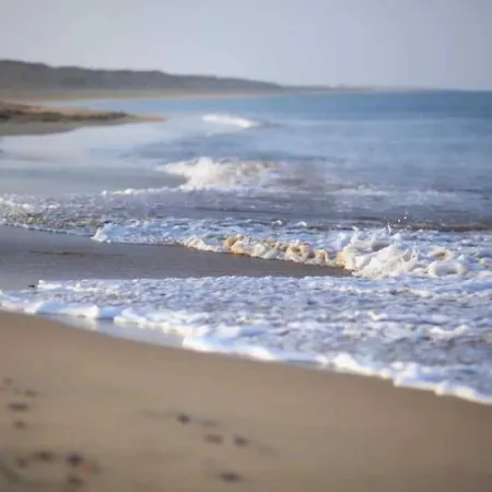4 Etoiles - Piscine - Efceih * L'Ile-d'Olonne
