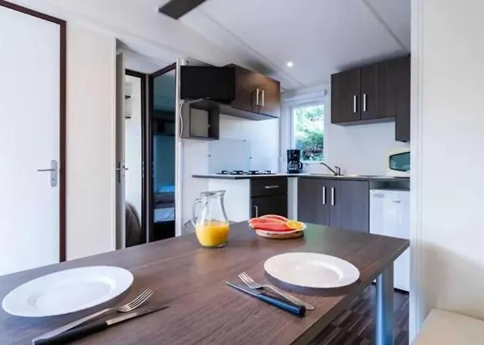 4 Etoiles - Piscine - Efceih