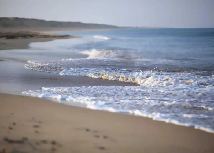 4 Etoiles - Piscine - Efceih * L'Ile-d'Olonne
