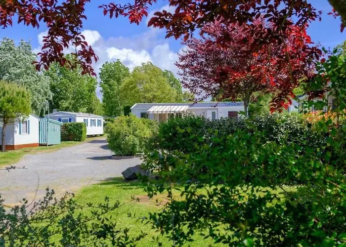 4 Etoiles - Piscine - Efceih *